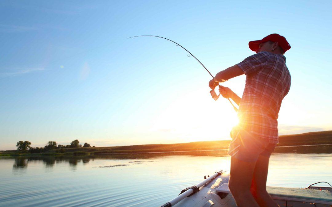 Help Our Fish Committee